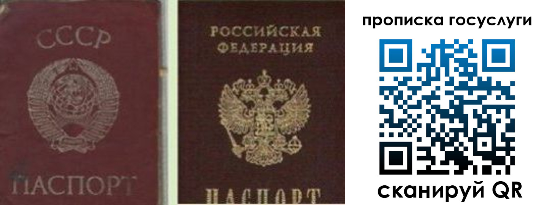временная регистрация 2025 в Реутове